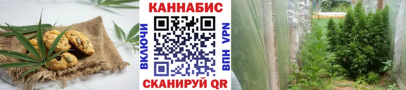 Canna-Cookies марихуана  Армавир 
