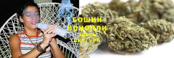 прущие грибы Сосновоборск