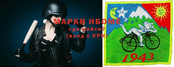 дживик Снежинск