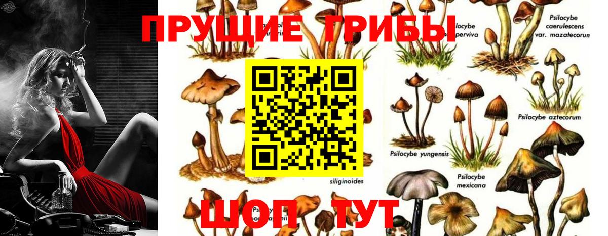 Галлюциногенные грибы Magic Shrooms  Вход с VPN  Армавир 